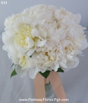 bouquets 543